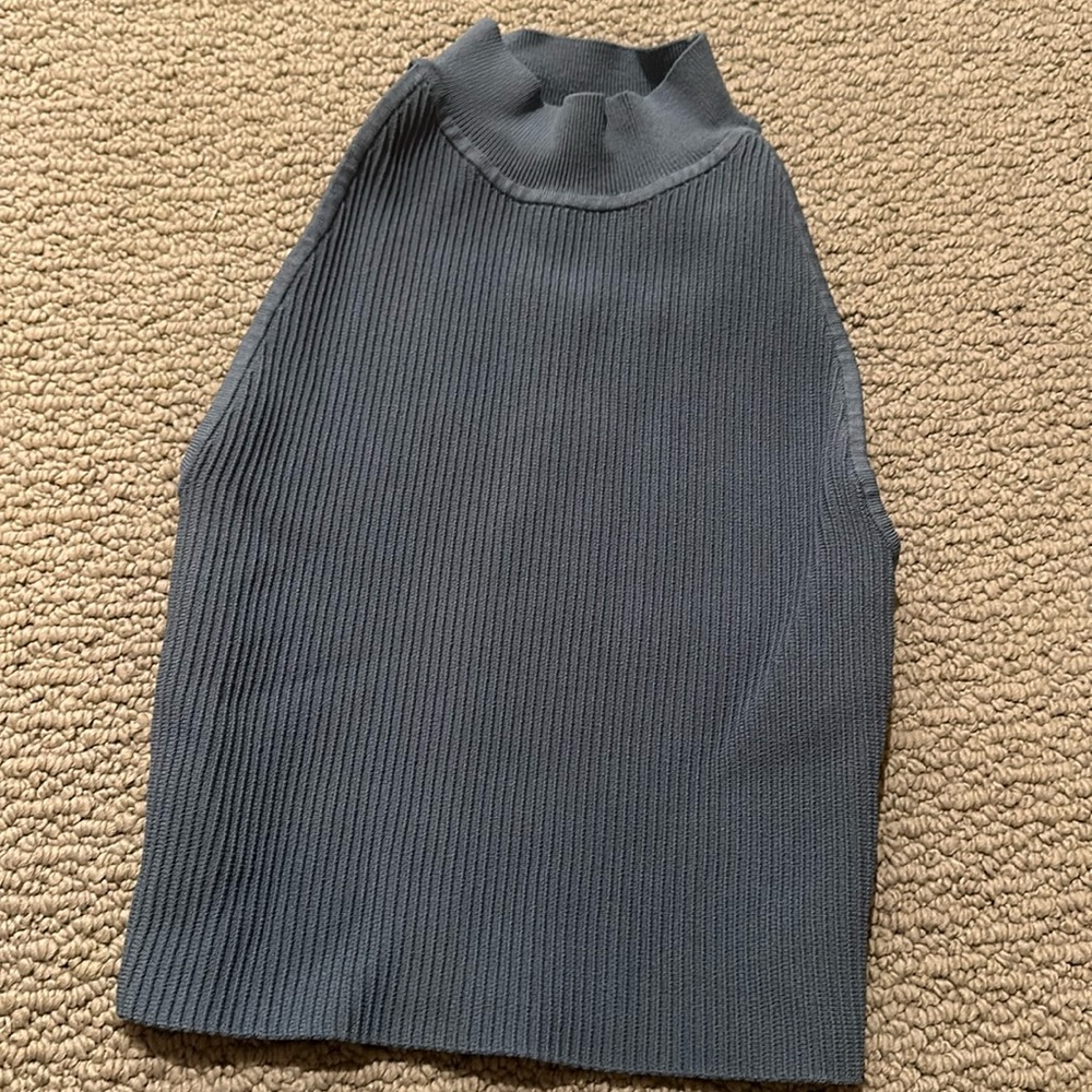 Aritzia Babaton rib knit tank